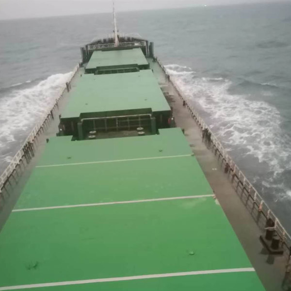 12600 T Bulk Carrier Built In 2006