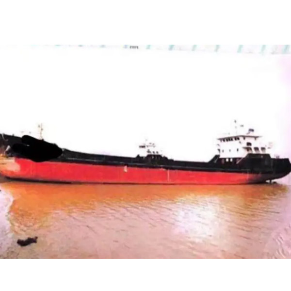 892 DWT bulk carrier ship build in 2019