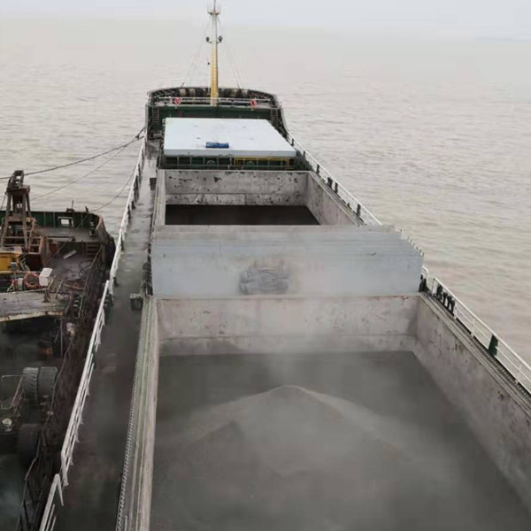 8200 T Bulk Carrier Built In 2009