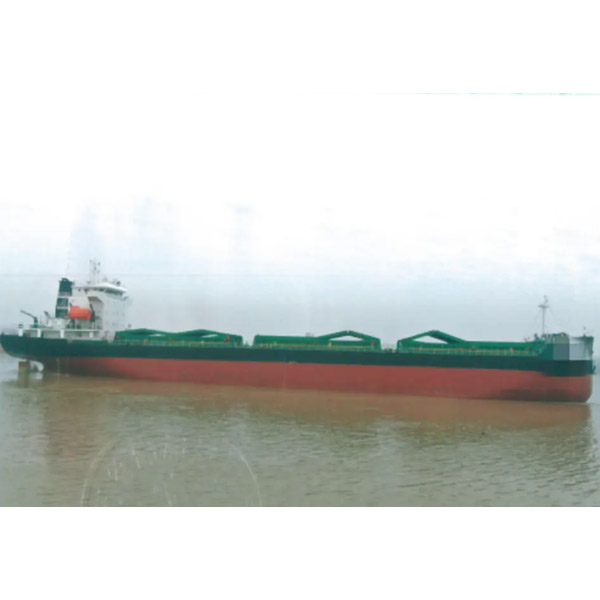 11035 DWT bulk carrier ship build in 2021